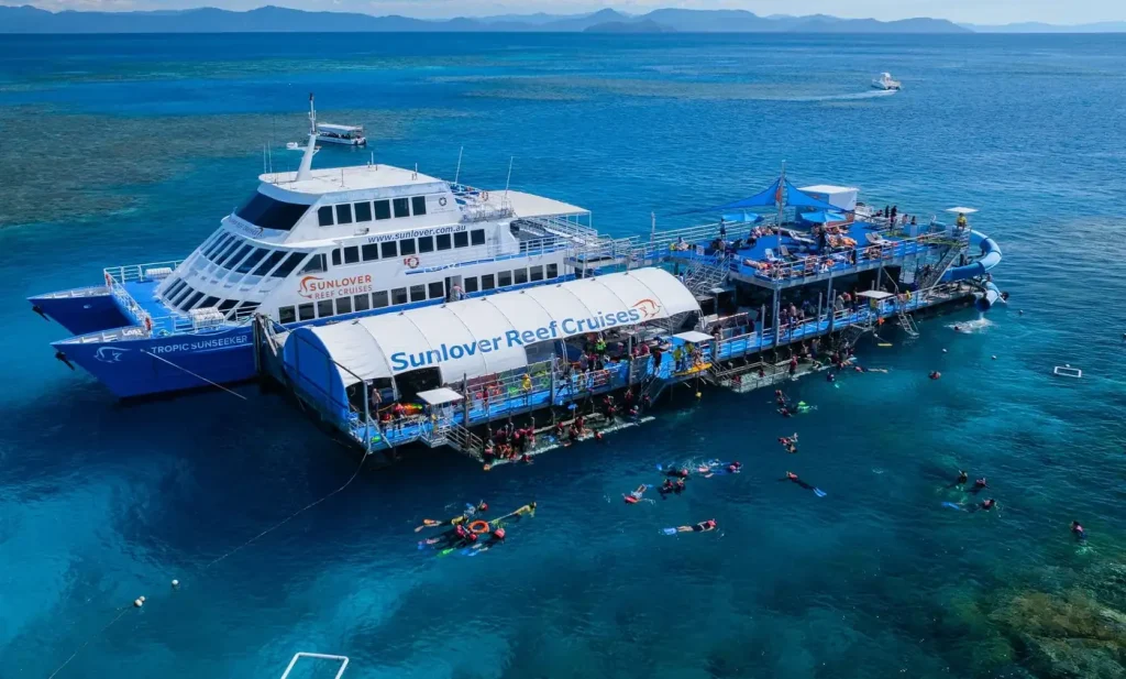 Beyond Snorkelling 5 Citizen Science Programs You Can Join on Your GBR Trip