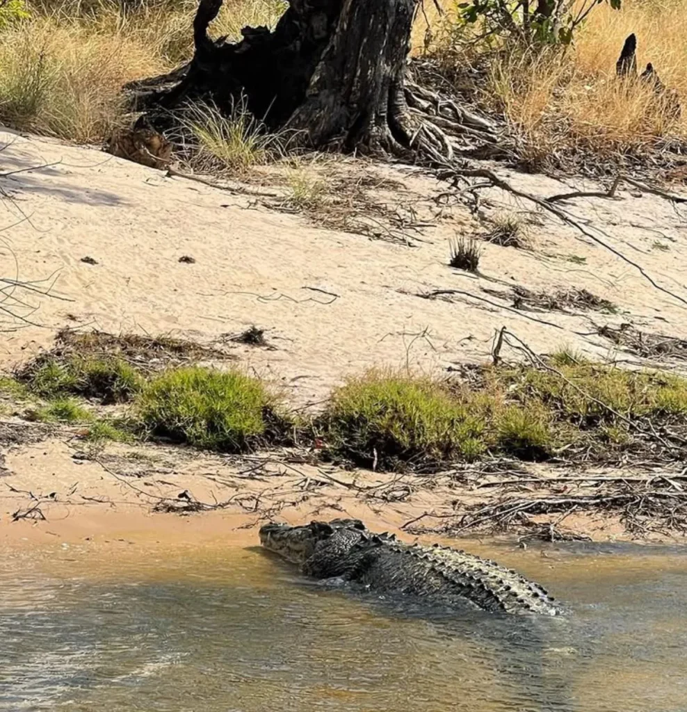 Guluyambi Cultural Cruise