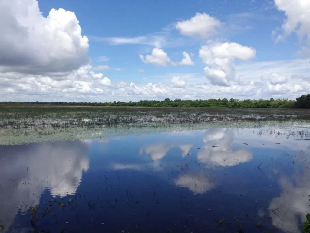 Mamukala Wetlands