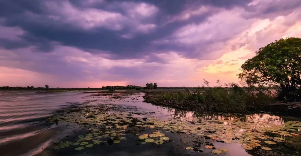 Yellow Water Billabong